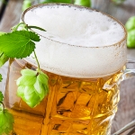 alkohol - pivo v pohari