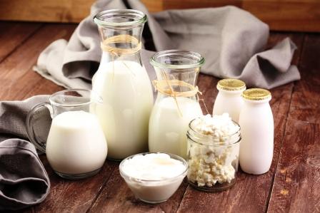 mliečne produkty - mlieko, jogurt, tvaroh a smotana