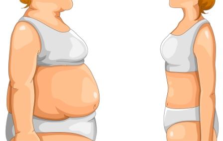 tučná žena stojí oproti chudej žene - pomôže dukanova diéta, alebo je to nezmysel
